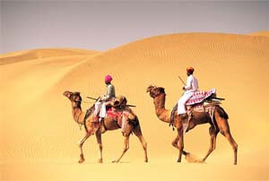 book tempo traveller in delhi