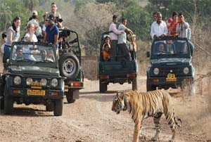 tempo traveller rent in delhi